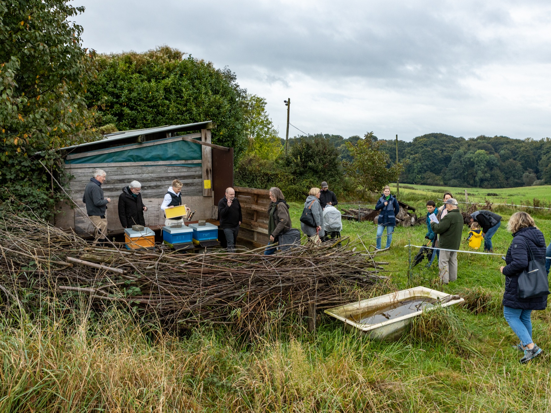 BürgerBienenWerkstatt