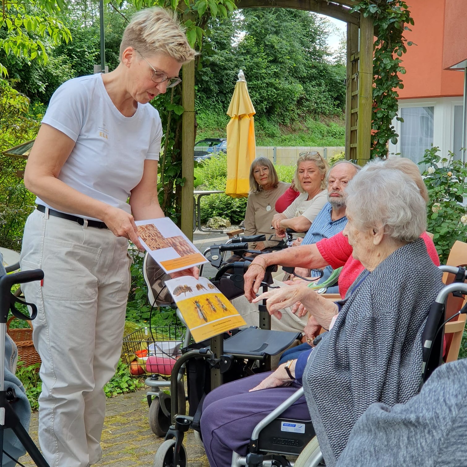 Theorie anhand von Folien