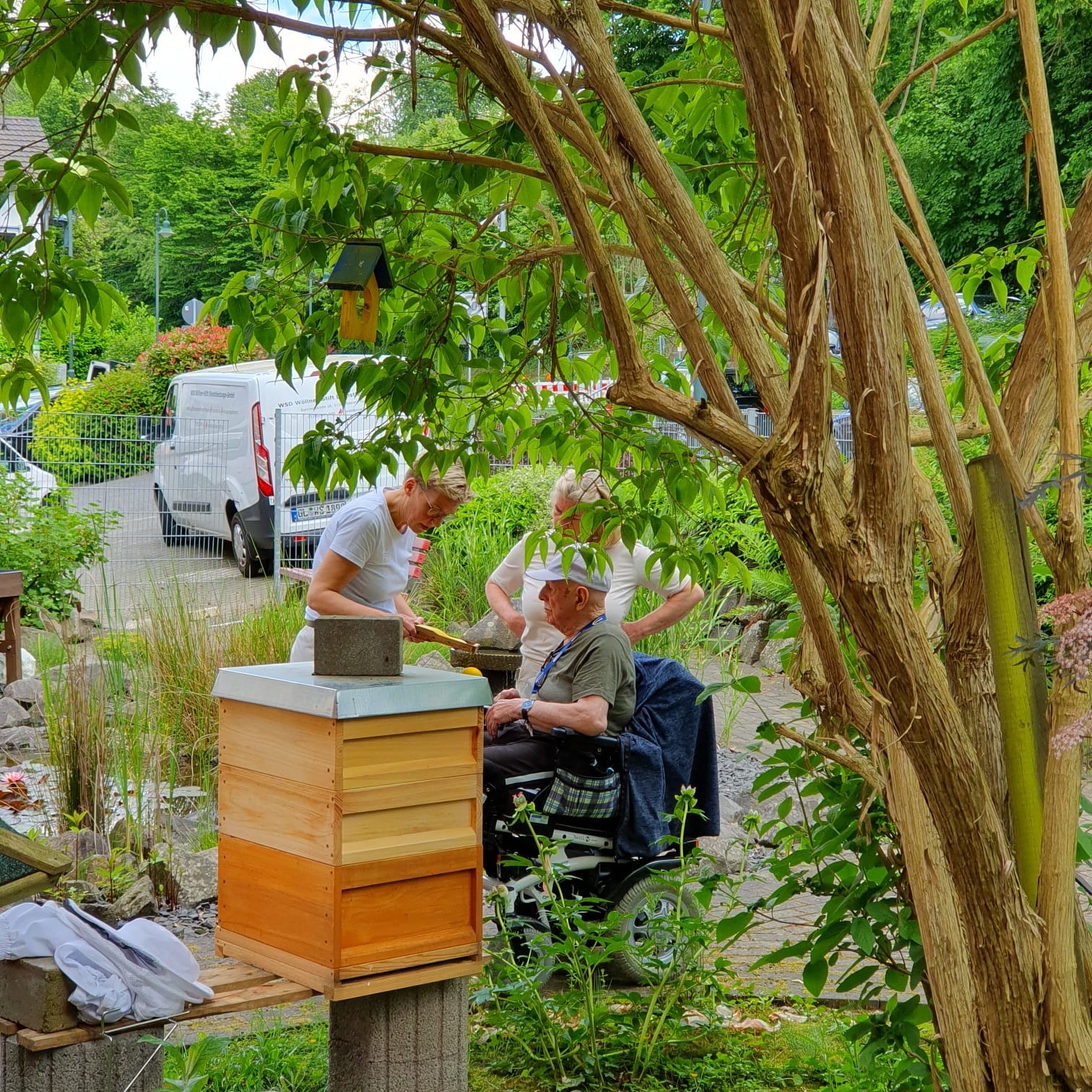 Bienen im Wöllner-Stift