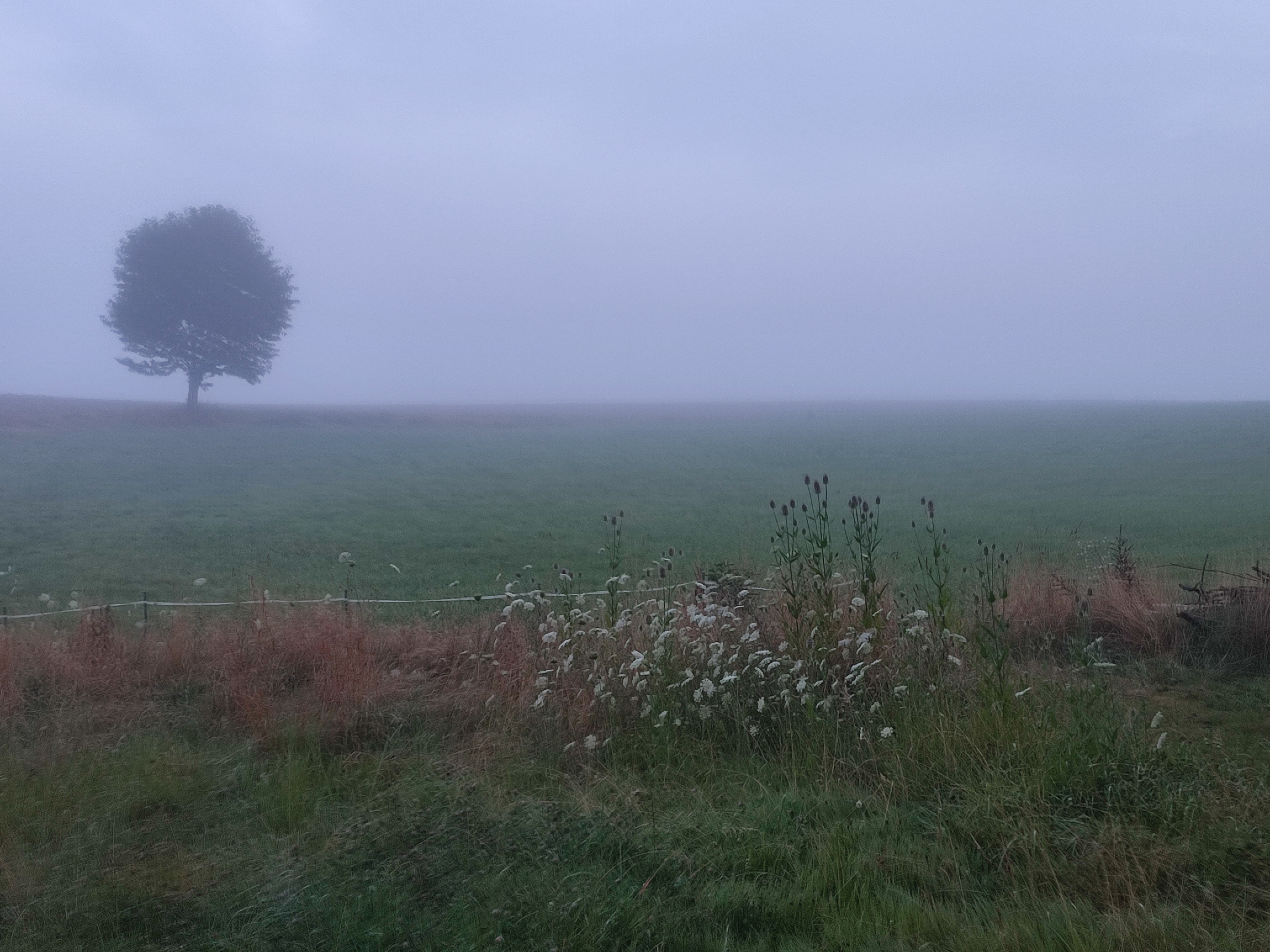 Früh morgens in Großbliersbach