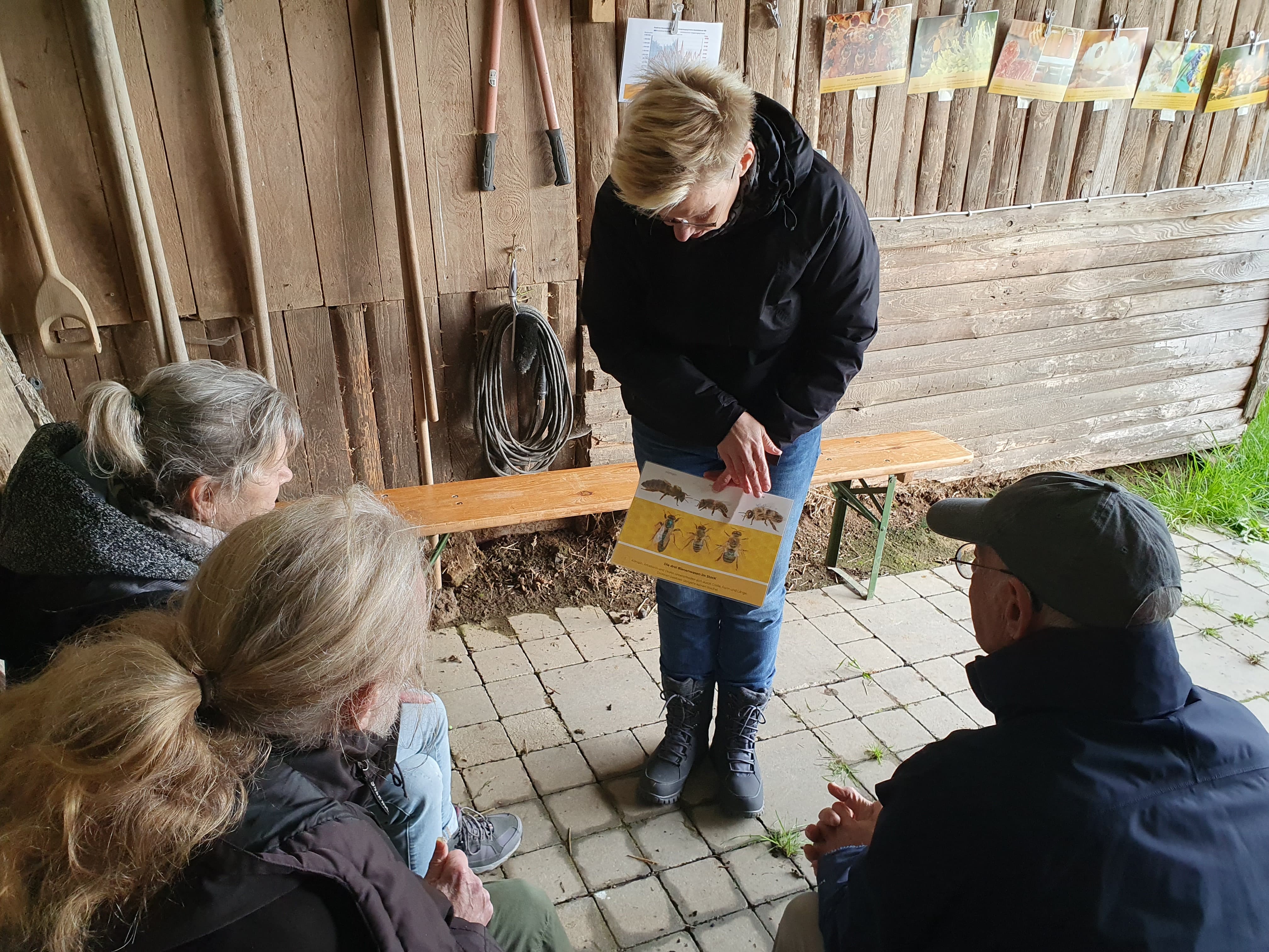 Theorie im Kompaktkurs