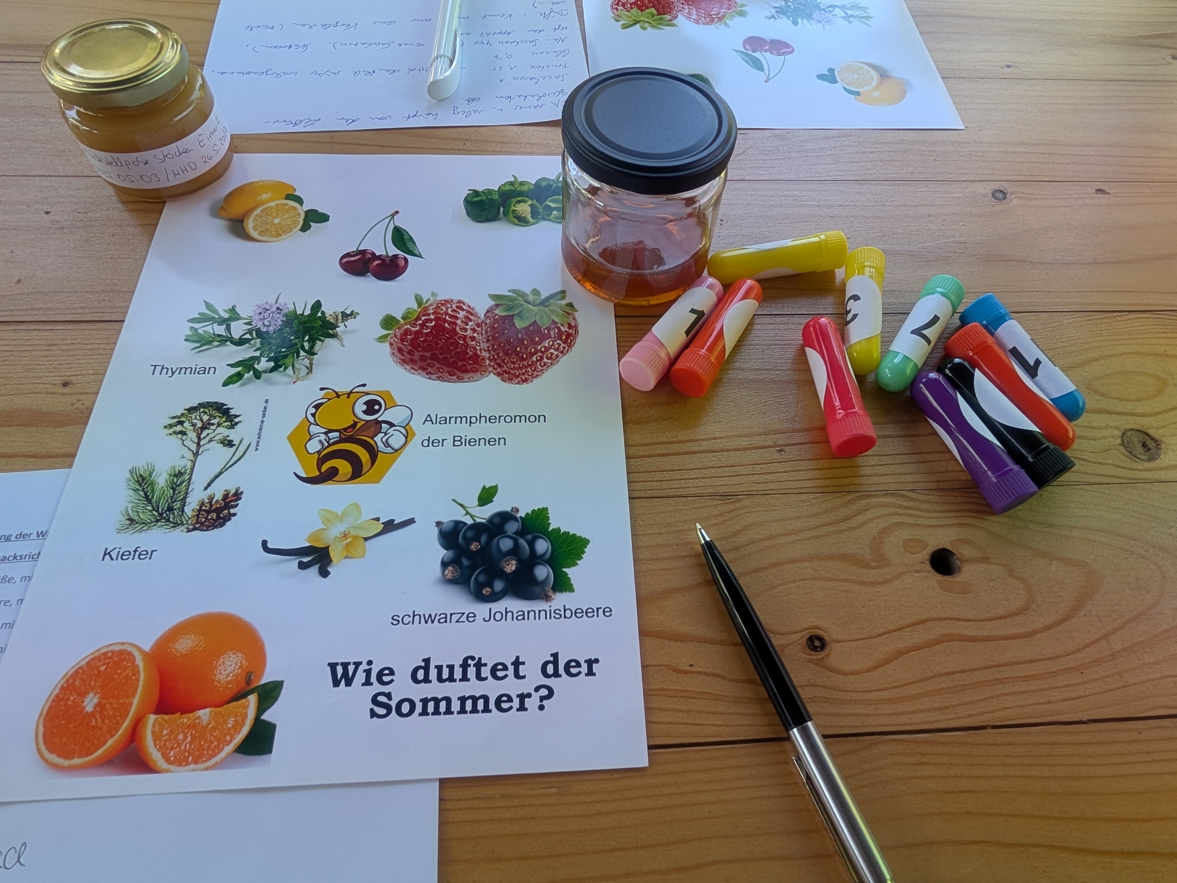 Olfaktorischer Test